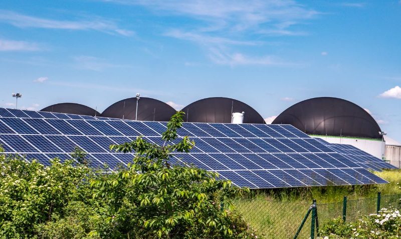 Imagen extraida de Genia Bioenergy