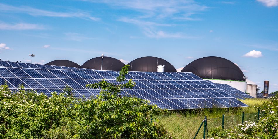 Imagen extraida de Genia Bioenergy